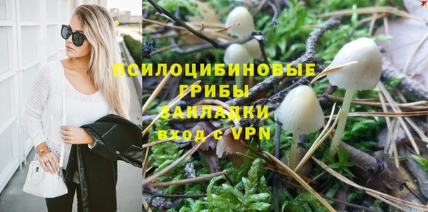 ПСИЛОЦИБИНОВЫЕ ГРИБЫ Абинск